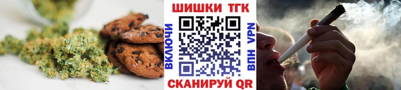 дарнет шоп  Елизово  omg tor  Cannafood конопля 