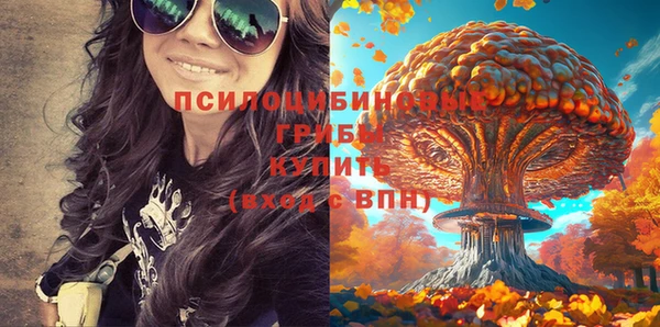 индика Вязьма