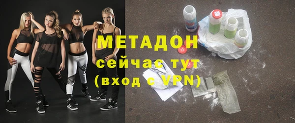 индика Вязьма
