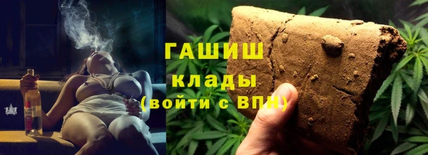 мдпв Бородино