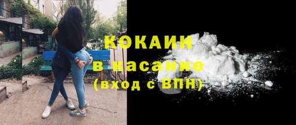 индика Вязьма